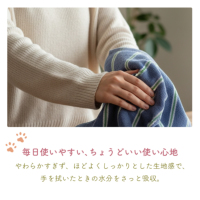 ���i�ڍ׉摜