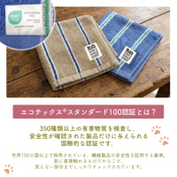 ���i�ڍ׉摜