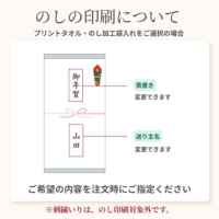 ���i�ڍ׉摜