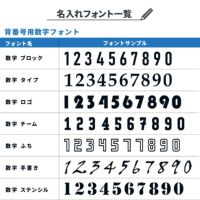 ���i�ڍ׉摜