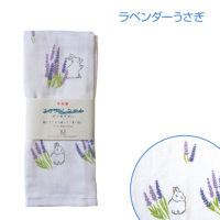 �A�C�e���C���[�W
