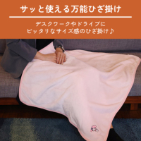 ���i�ڍ׉摜