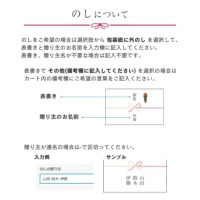 ���i�ڍ׉摜